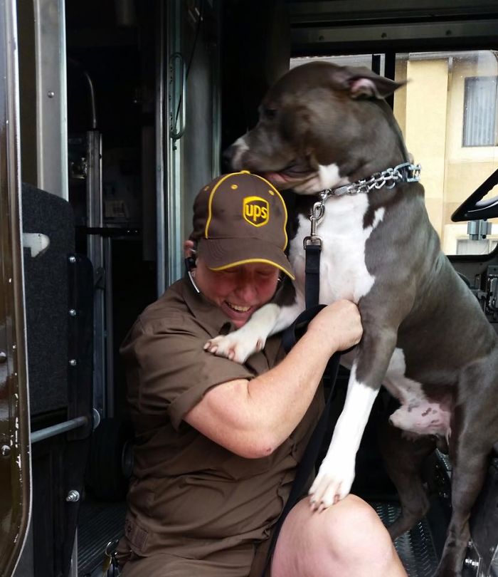 This UPS Driver Just Adopted A Pit Bull On Her Work Route After The Death Of His Owner This UPS Driver Just Adopted A Pit Bull On Her Work Route After The Death Of His Owner