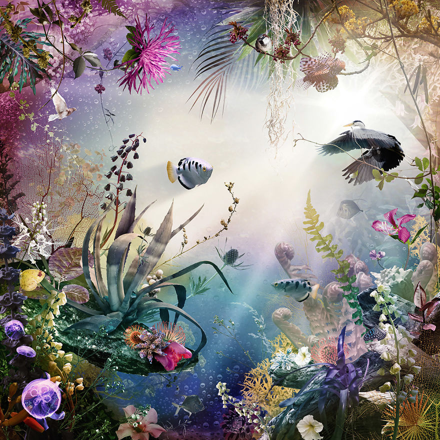 Dutch Artist Uses Nature To Express Emotion