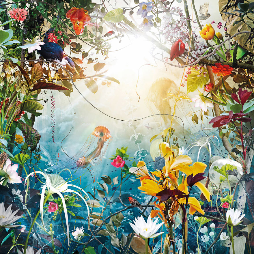 Dutch Artist Uses Nature To Express Emotion