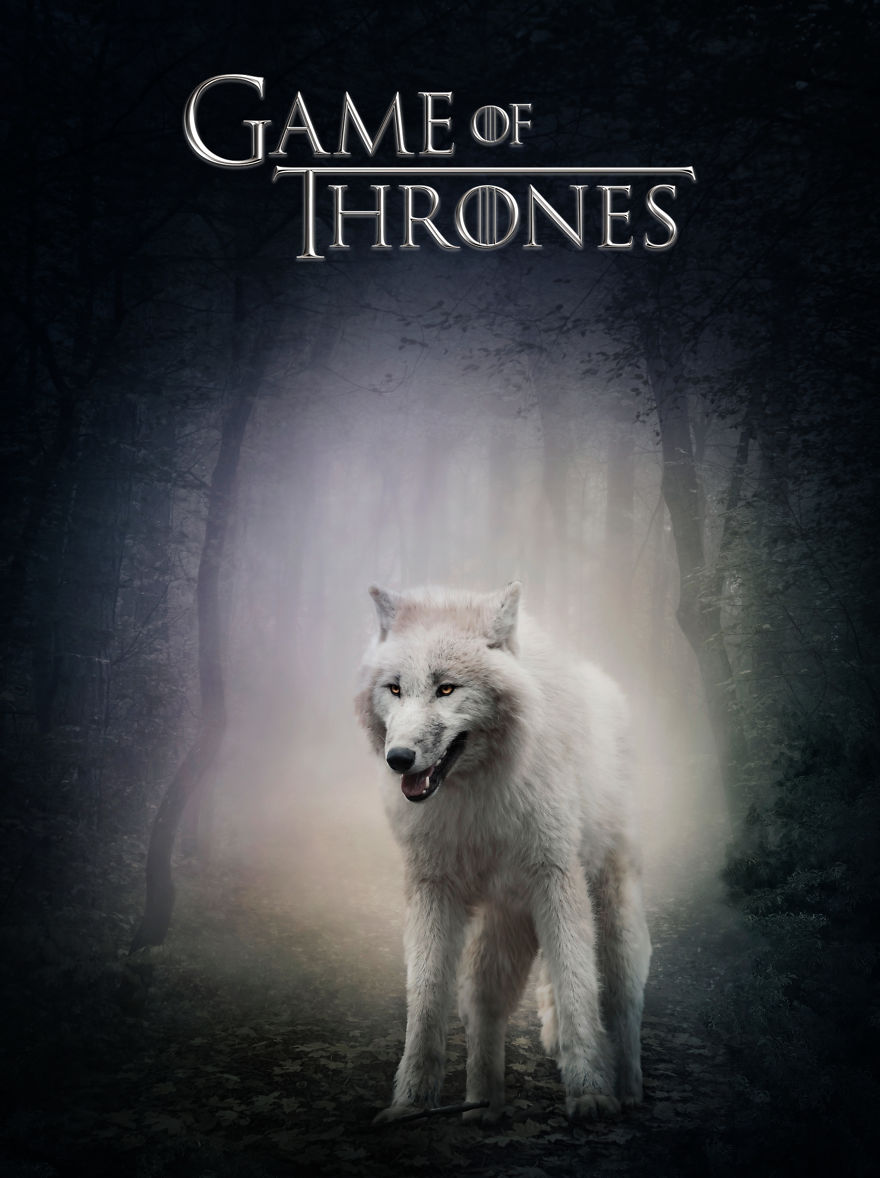 Game Of Thrones Posters With Stock Photos Game Of Thrones Posters With Stock Photos