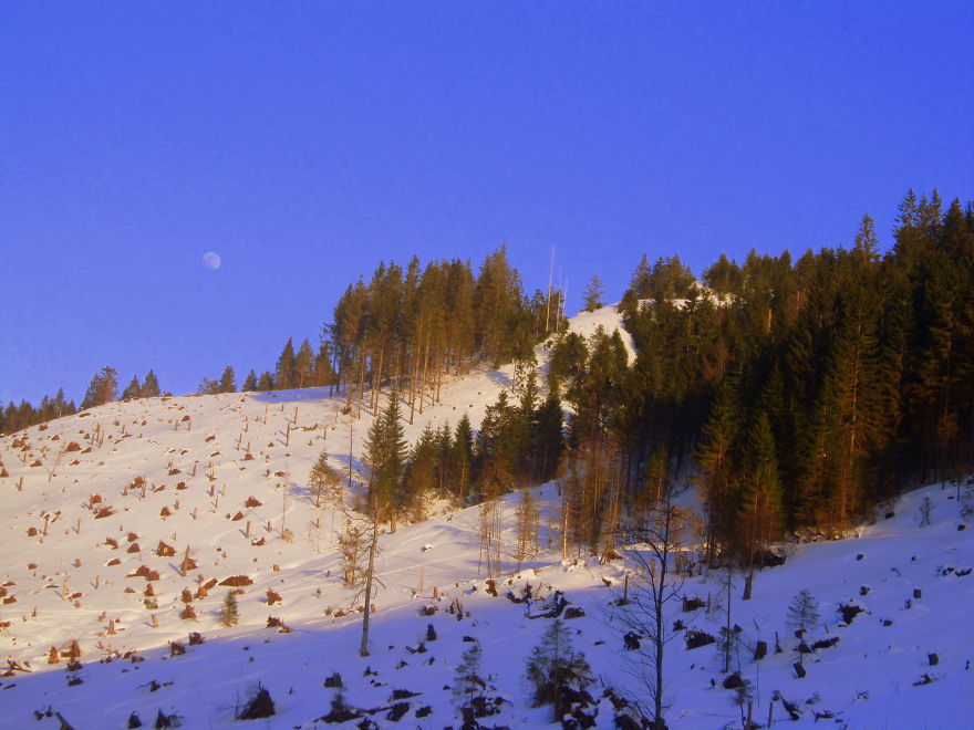 I Drove Alone Across 8 Countries In Europe In A Baby Blue 27 Yr Ford Fiesta I Drove Alone Across 8 Countries In Europe In A Baby Blue 27 Yr Ford Fiesta