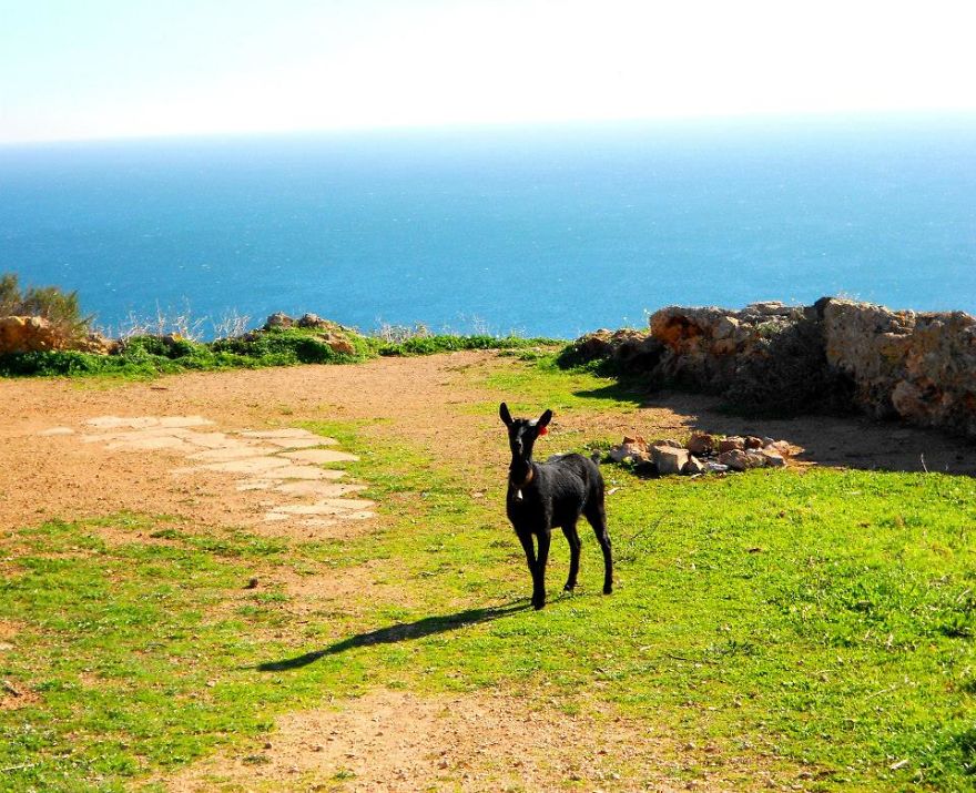 I Drove Alone Across 8 Countries In Europe In A Baby Blue 27 Yr Ford Fiesta I Drove Alone Across 8 Countries In Europe In A Baby Blue 27 Yr Ford Fiesta