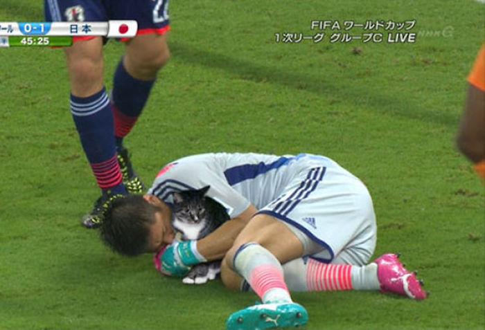 Cats Photoshopped Into Pictures Of Soccer Make Everything Better (Add Yours!) Cats Photoshopped Into Pictures Of Soccer Make Everything Better (Add Yours!)