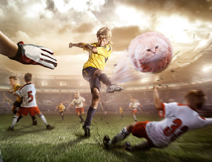 Cats Photoshopped Into Pictures Of Soccer Make Everything Better (Add Yours!) Cats Photoshopped Into Pictures Of Soccer Make Everything Better (Add Yours!)