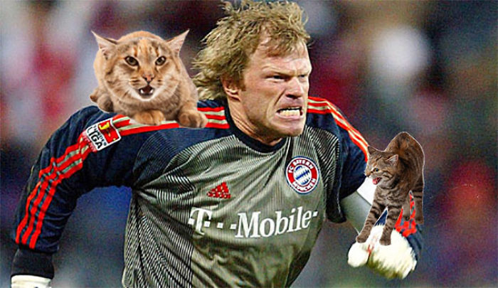 Cats Photoshopped Into Pictures Of Soccer Make Everything Better (Add Yours!) Cats Photoshopped Into Pictures Of Soccer Make Everything Better (Add Yours!)