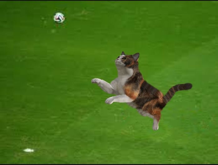 Cats Photoshopped Into Pictures Of Soccer Make Everything Better (Add Yours!) Cats Photoshopped Into Pictures Of Soccer Make Everything Better (Add Yours!)
