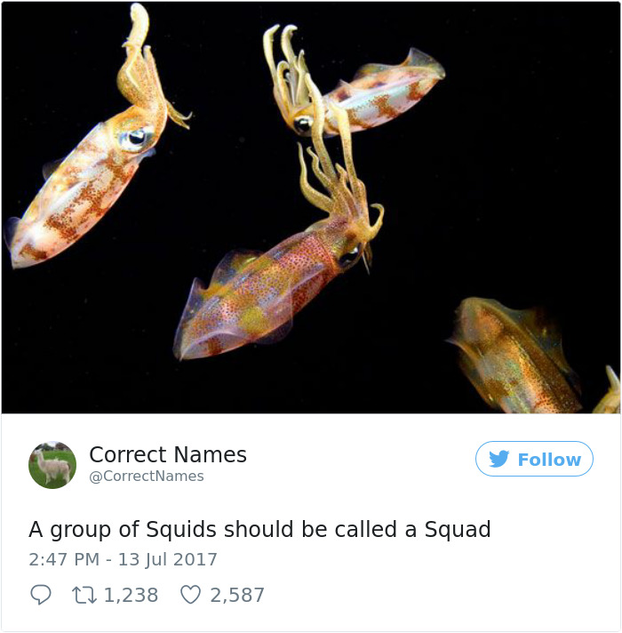 This Twitter Account Is Renaming Everyday Objects And They’re More Accurate Than The Real Ones This Twitter Account Is Renaming Everyday Objects And They’re More Accurate Than The Real Ones