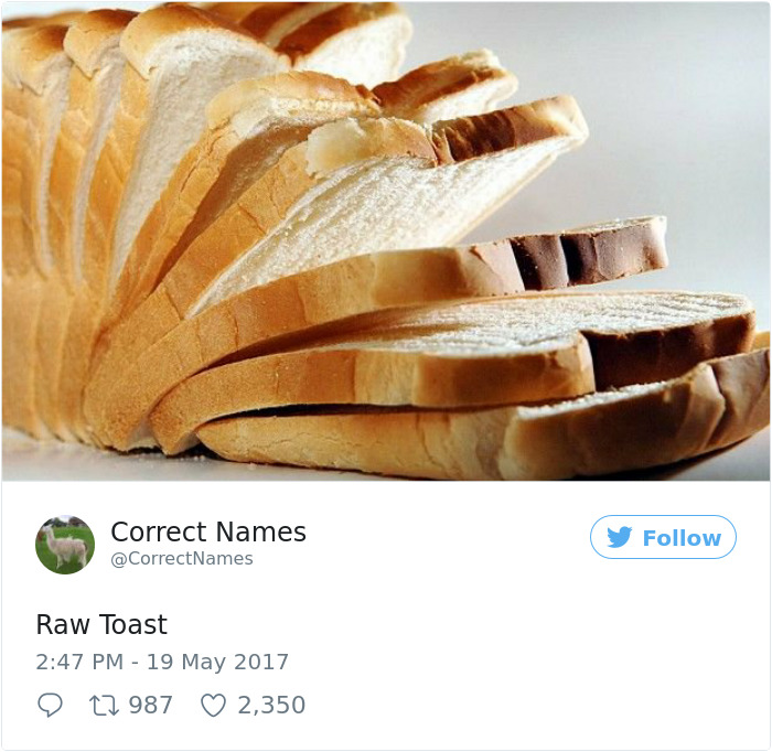 This Twitter Account Is Renaming Everyday Objects And They’re More Accurate Than The Real Ones This Twitter Account Is Renaming Everyday Objects And They’re More Accurate Than The Real Ones