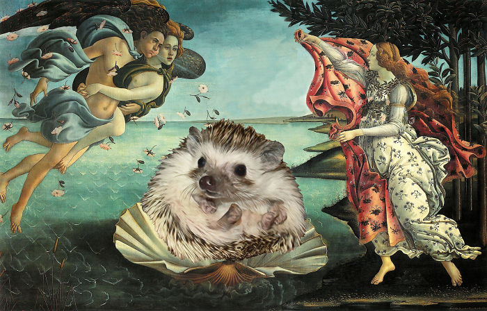 The Amazing World Of Hedgehog Art History The Amazing World Of Hedgehog Art History