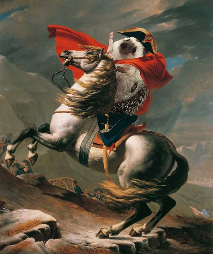 The Amazing World Of Hedgehog Art History The Amazing World Of Hedgehog Art History