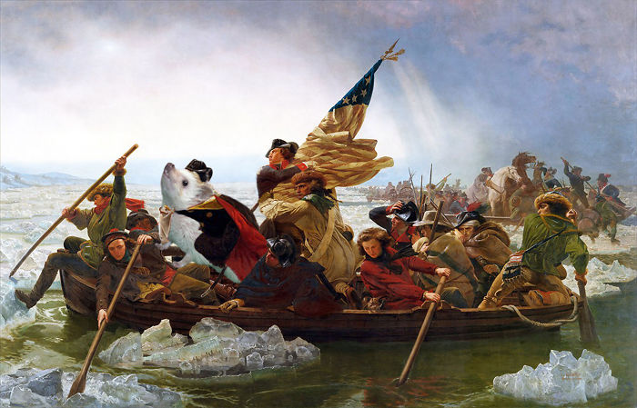 The Amazing World Of Hedgehog Art History The Amazing World Of Hedgehog Art History