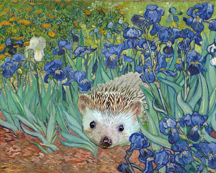 The Amazing World Of Hedgehog Art History The Amazing World Of Hedgehog Art History