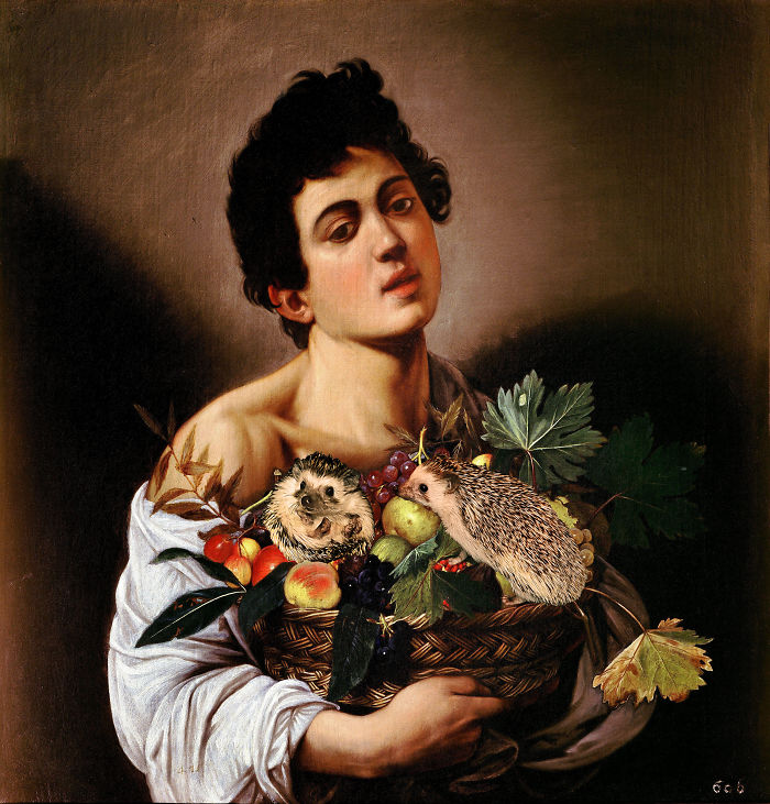 The Amazing World Of Hedgehog Art History The Amazing World Of Hedgehog Art History