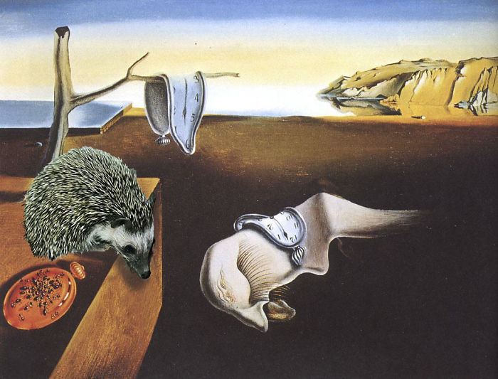 The Amazing World Of Hedgehog Art History The Amazing World Of Hedgehog Art History