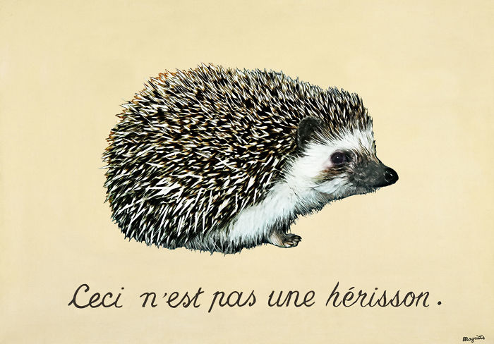 The Amazing World Of Hedgehog Art History The Amazing World Of Hedgehog Art History