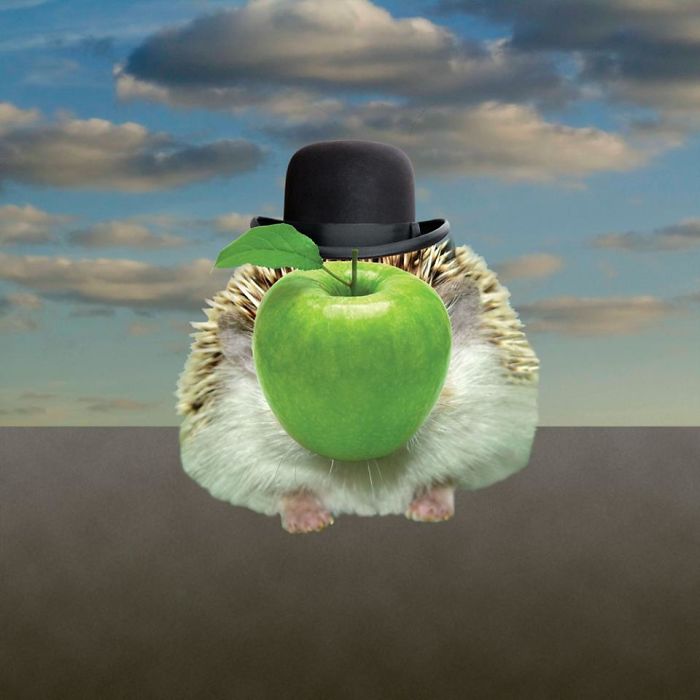 The Amazing World Of Hedgehog Art History The Amazing World Of Hedgehog Art History