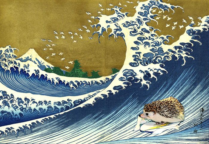 The Amazing World Of Hedgehog Art History The Amazing World Of Hedgehog Art History