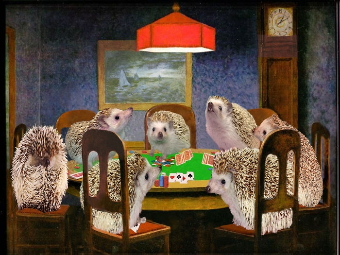 The Amazing World Of Hedgehog Art History The Amazing World Of Hedgehog Art History