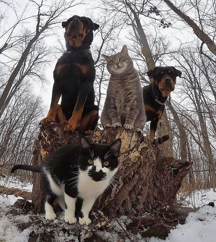 30 Animals That Look Like They’re About To Drop The Hottest Albums Of The Year 30 Animals That Look Like They’re About To Drop The Hottest Albums Of The Year