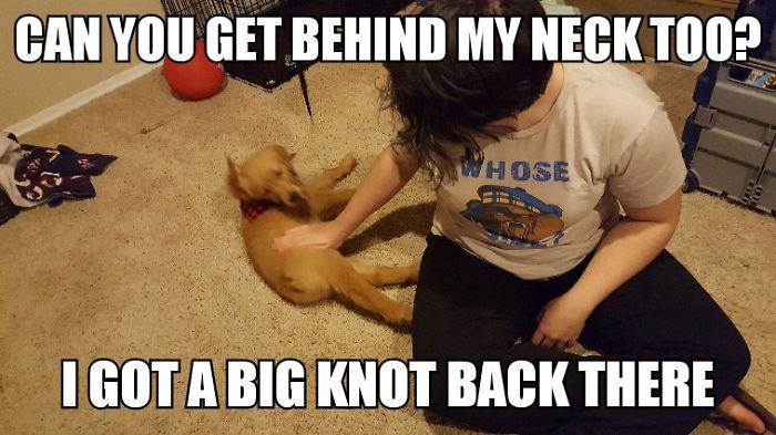 I Took Photos Of My 4-Month-Old Puppy & Added Captions To Them Of Her Thoughts I Took Photos Of My 4-Month-Old Puppy & Added Captions To Them Of Her Thoughts