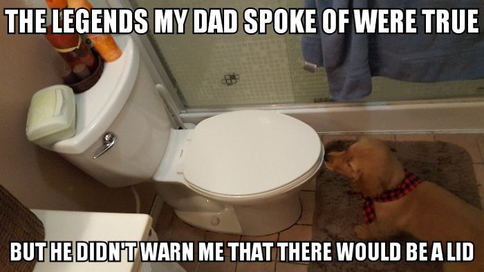 I Took Photos Of My 4-Month-Old Puppy & Added Captions To Them Of Her Thoughts I Took Photos Of My 4-Month-Old Puppy & Added Captions To Them Of Her Thoughts