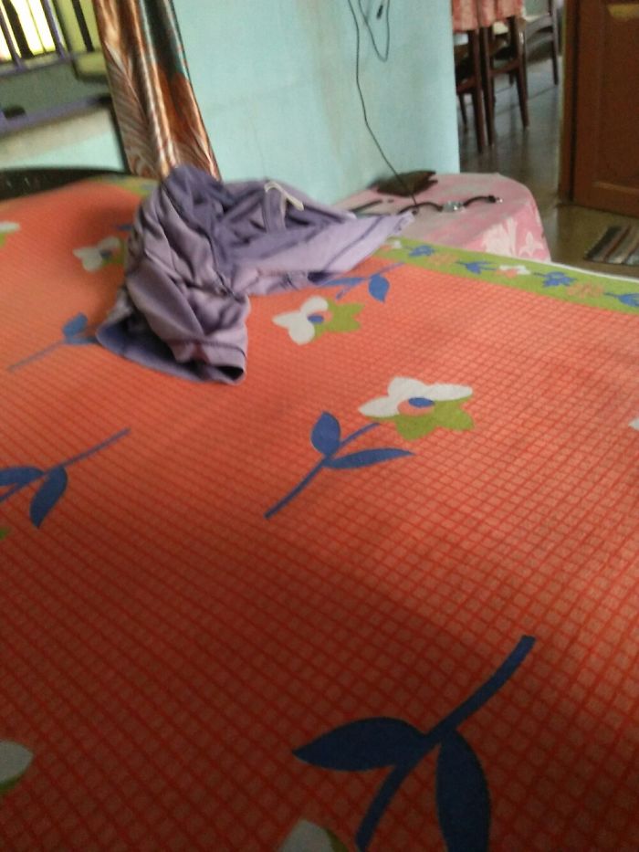 66 Squishy Dog Cheeks That Are Impossible To Resist Squishing 66 Squishy Dog Cheeks That Are Impossible To Resist Squishing