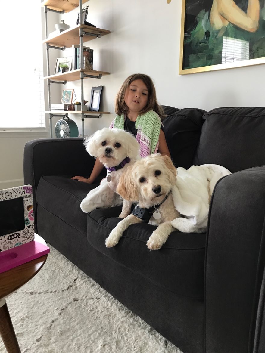 125 Old Souls Of Elderly Dogs Captured By Nancy LeVine 125 Old Souls Of Elderly Dogs Captured By Nancy LeVine