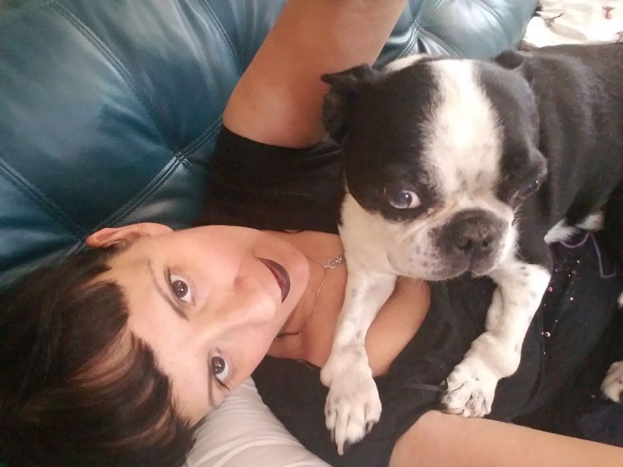 125 Old Souls Of Elderly Dogs Captured By Nancy LeVine 125 Old Souls Of Elderly Dogs Captured By Nancy LeVine