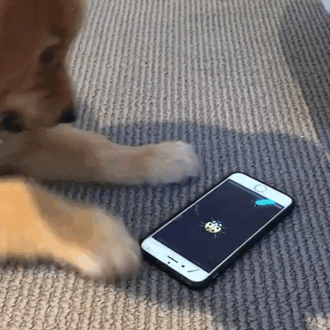 210 Times Golden Retriever Puppies Were The Purest Thing In The World