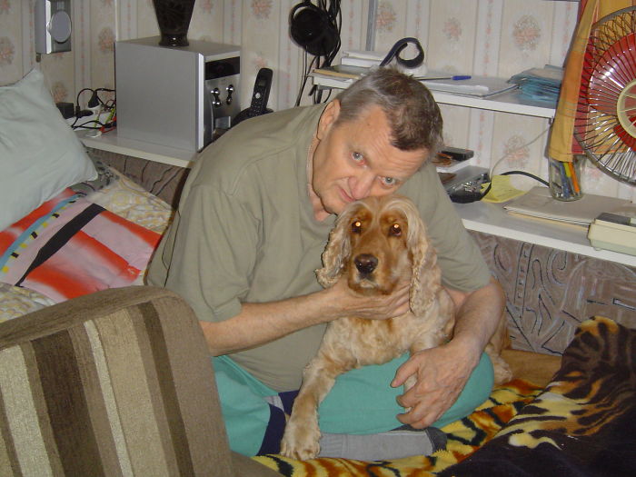 210 Times Golden Retriever Puppies Were The Purest Thing In The World