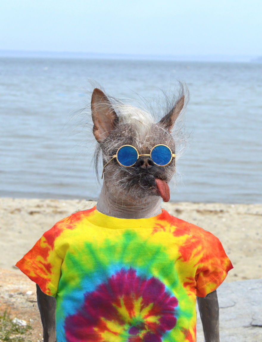 My Unusual Looking Dog Is My Favorite Photo Subject My Unusual Looking Dog Is My Favorite Photo Subject