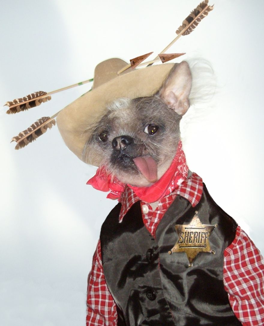 My Unusual Looking Dog Is My Favorite Photo Subject My Unusual Looking Dog Is My Favorite Photo Subject