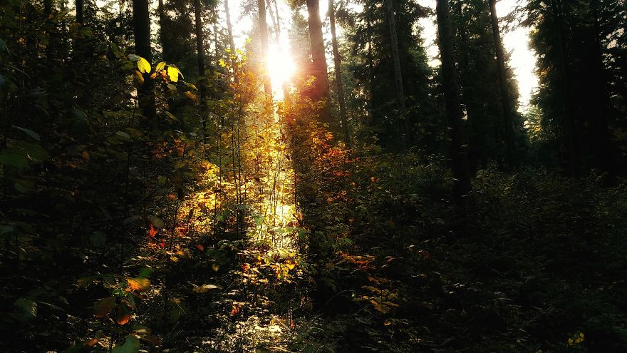 I Want To Show The Beauty Of Poland Using Smartphone (Part 2) I Want To Show The Beauty Of Poland Using Smartphone (Part 2)