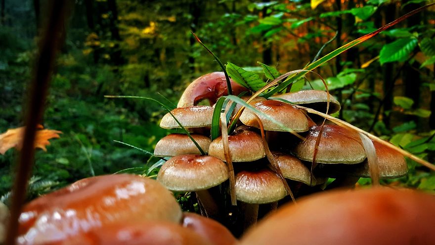 I Want To Show The Beauty Of Poland Using Smartphone (Part 2) I Want To Show The Beauty Of Poland Using Smartphone (Part 2)