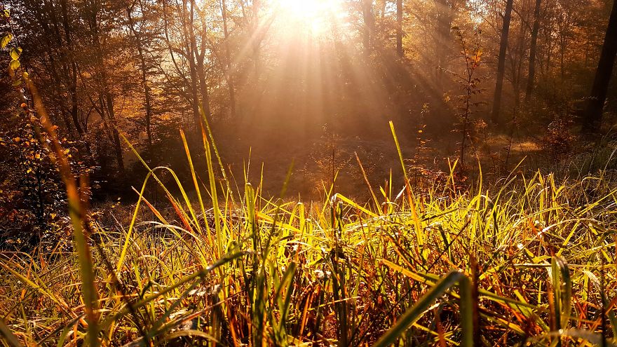 I Want To Show The Beauty Of Poland Using Smartphone (Part 2) I Want To Show The Beauty Of Poland Using Smartphone (Part 2)