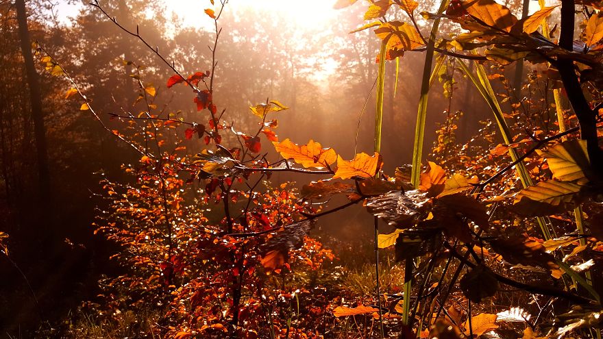 I Want To Show The Beauty Of Poland Using Smartphone (Part 2) I Want To Show The Beauty Of Poland Using Smartphone (Part 2)