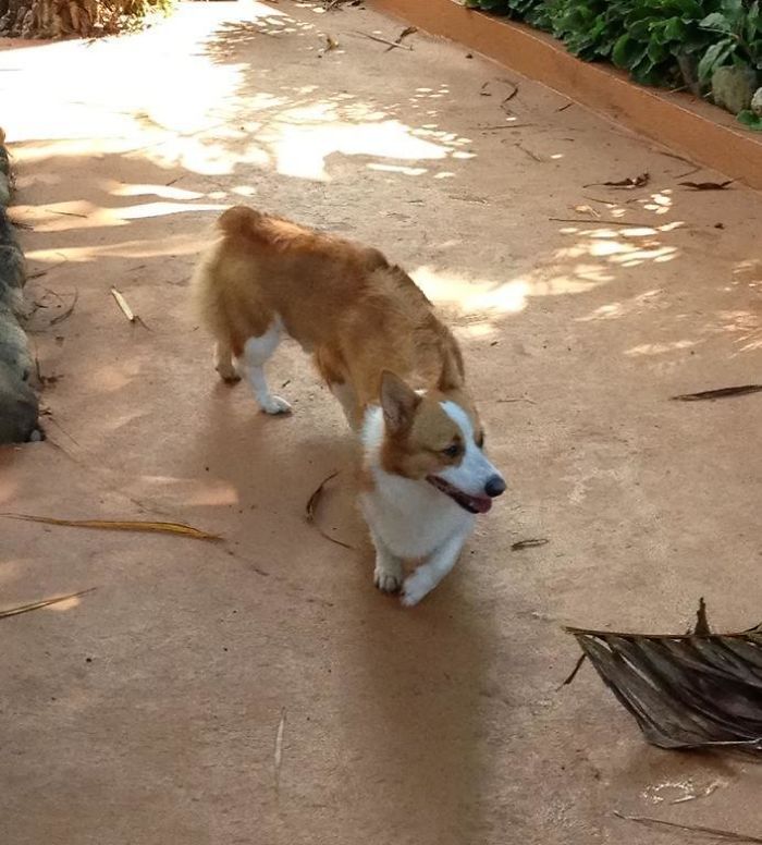 265 Times People Tried To Make A Panorama And Ended Up Opening The Gates Of Hell 265 Times People Tried To Make A Panorama And Ended Up Opening The Gates Of Hell