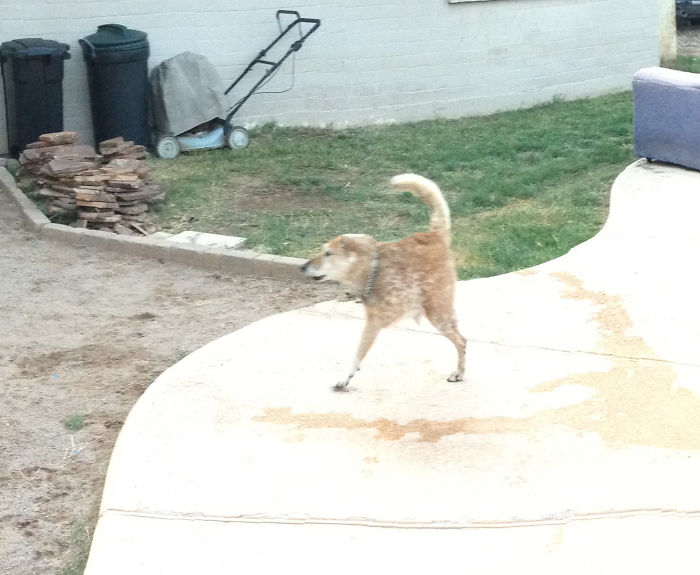 265 Times People Tried To Make A Panorama And Ended Up Opening The Gates Of Hell 265 Times People Tried To Make A Panorama And Ended Up Opening The Gates Of Hell