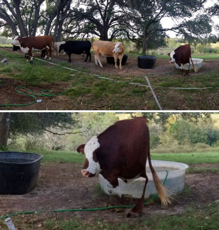 265 Times People Tried To Make A Panorama And Ended Up Opening The Gates Of Hell 265 Times People Tried To Make A Panorama And Ended Up Opening The Gates Of Hell