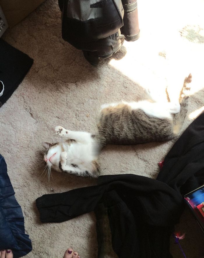 265 Times People Tried To Make A Panorama And Ended Up Opening The Gates Of Hell 265 Times People Tried To Make A Panorama And Ended Up Opening The Gates Of Hell