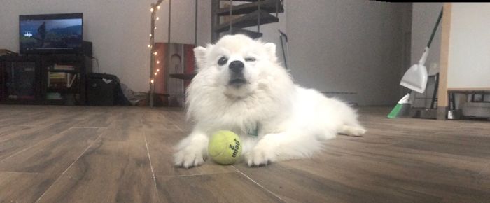 265 Times People Tried To Make A Panorama And Ended Up Opening The Gates Of Hell 265 Times People Tried To Make A Panorama And Ended Up Opening The Gates Of Hell