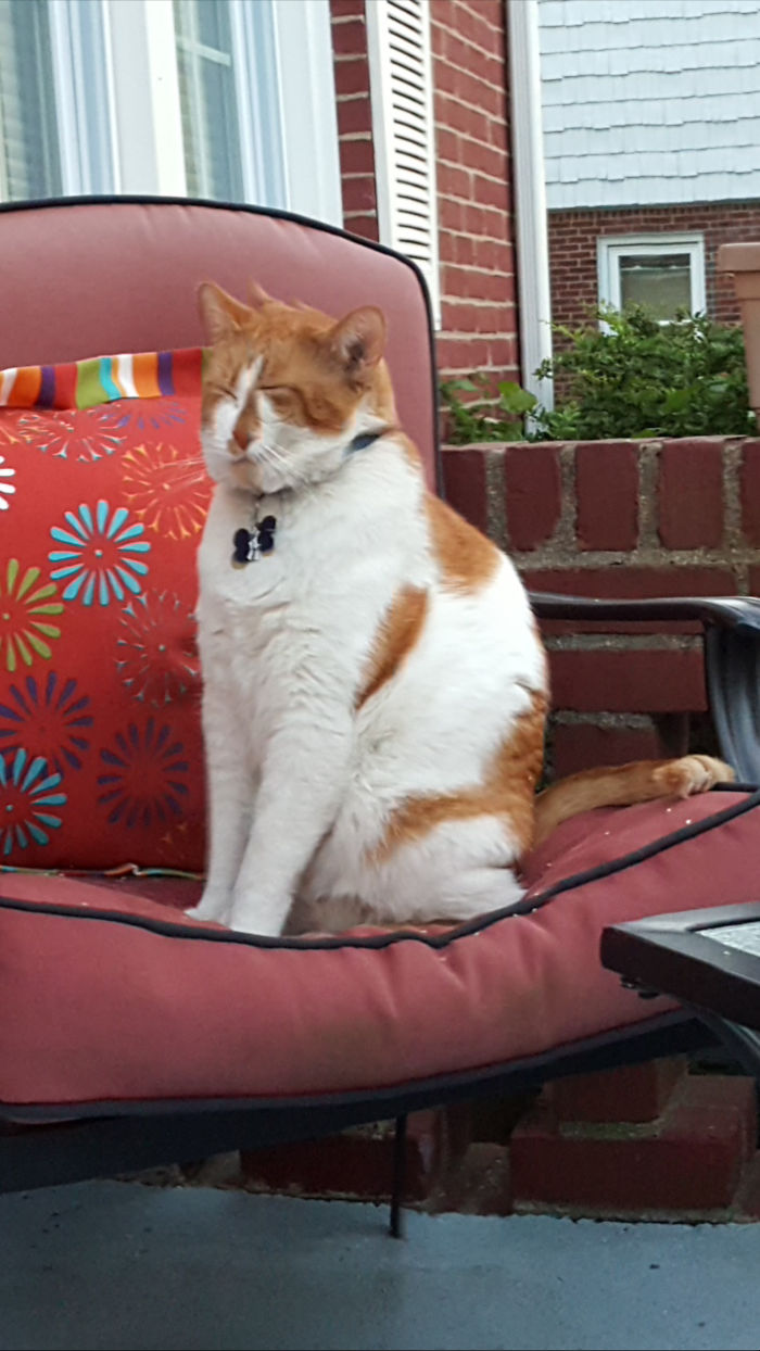 265 Times People Tried To Make A Panorama And Ended Up Opening The Gates Of Hell 265 Times People Tried To Make A Panorama And Ended Up Opening The Gates Of Hell