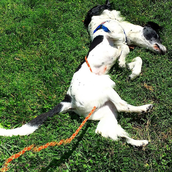 265 Times People Tried To Make A Panorama And Ended Up Opening The Gates Of Hell 265 Times People Tried To Make A Panorama And Ended Up Opening The Gates Of Hell