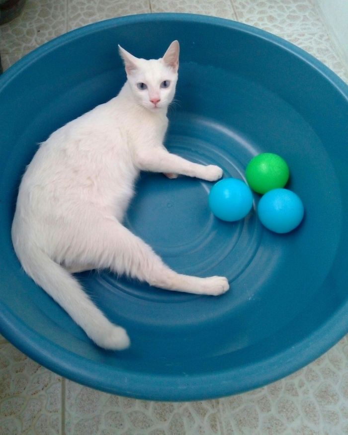 265 Times People Tried To Make A Panorama And Ended Up Opening The Gates Of Hell 265 Times People Tried To Make A Panorama And Ended Up Opening The Gates Of Hell