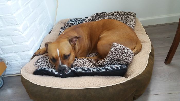 265 Times People Tried To Make A Panorama And Ended Up Opening The Gates Of Hell 265 Times People Tried To Make A Panorama And Ended Up Opening The Gates Of Hell