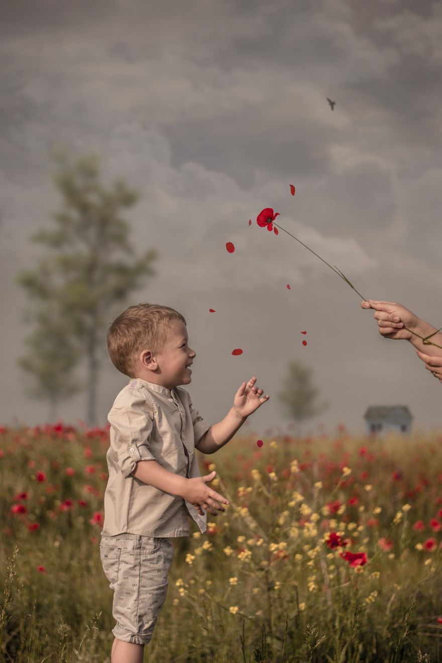 We Surprised The Awesomeness Of Childhood In A Poppy Field We Surprised The Awesomeness Of Childhood In A Poppy Field