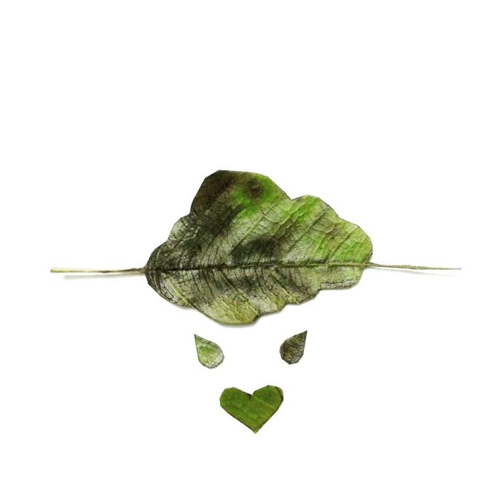 Leaf Cutting By Thinh Hoang