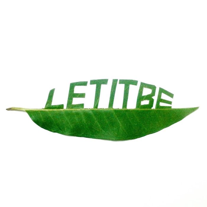 Leaf Cutting By Thinh Hoang