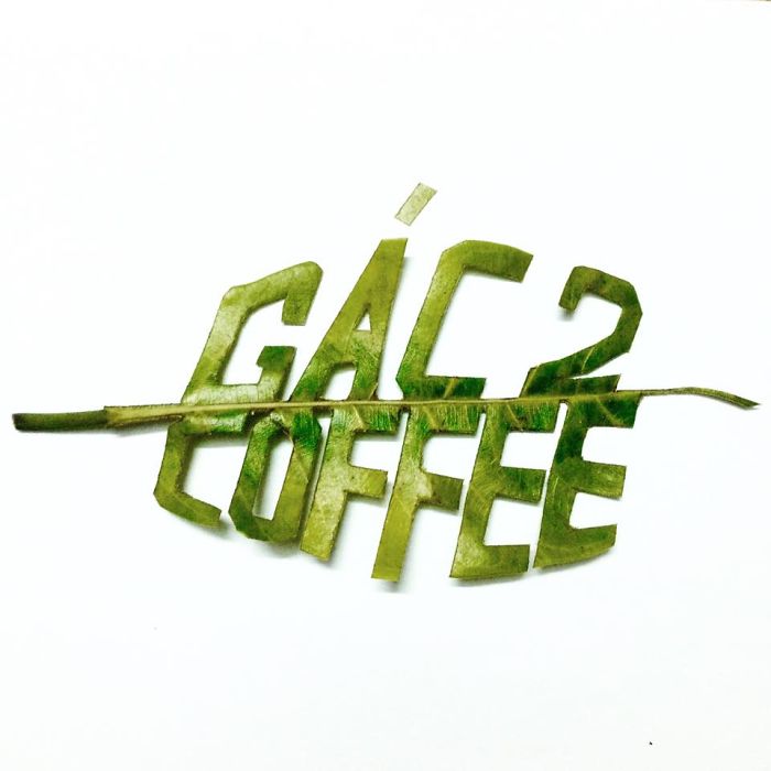 Leaf Cutting By Thinh Hoang