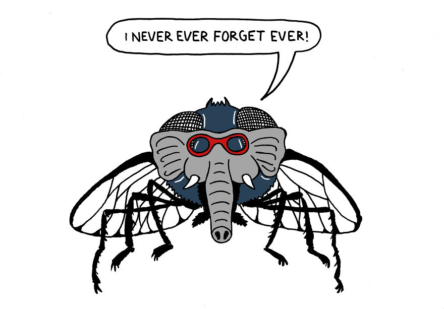 10 Crazy Things Russians Say And What They Mean 10 Crazy Things Russians Say And What They Mean